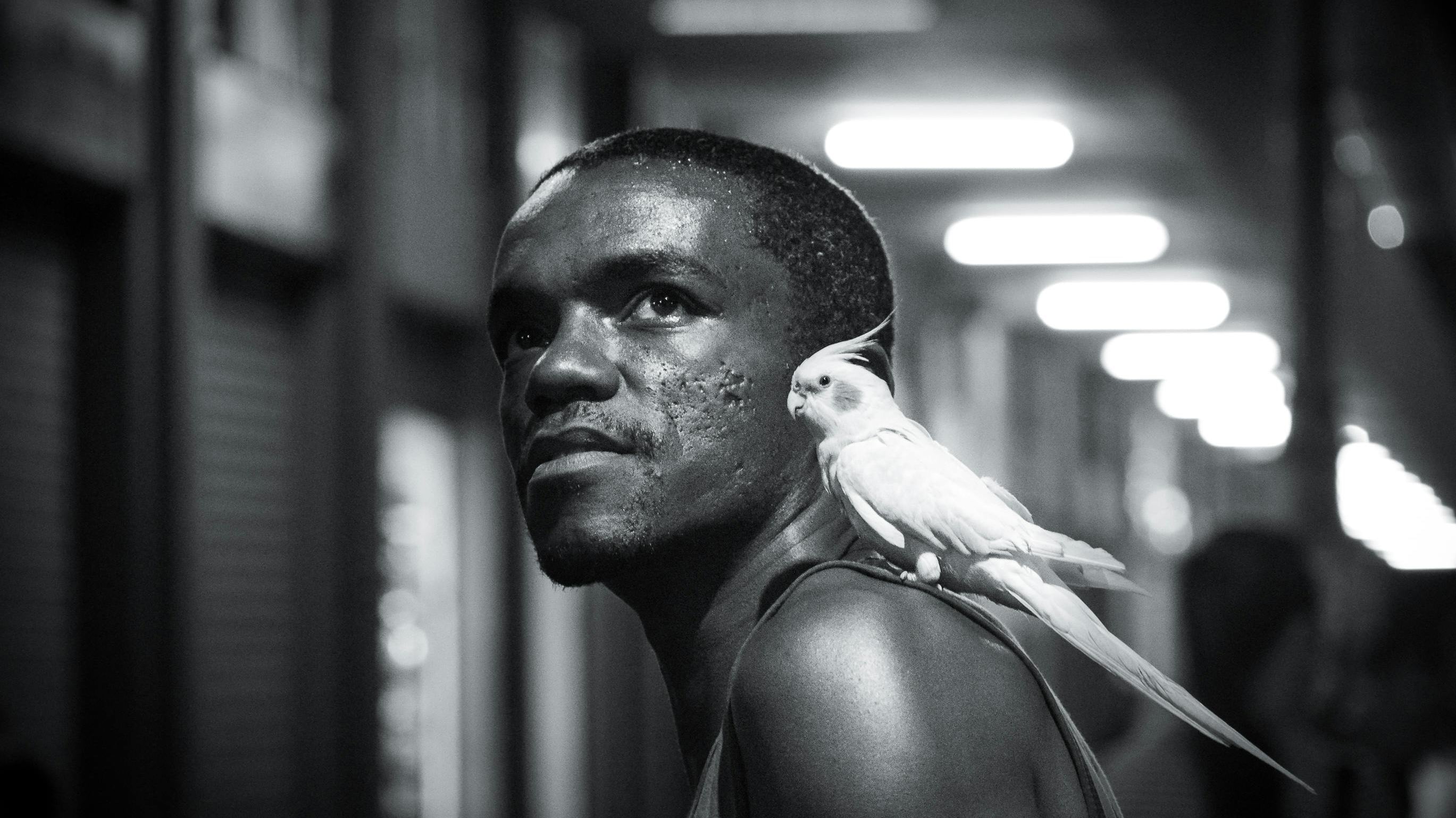 Why is air quality important for my exotic pet?